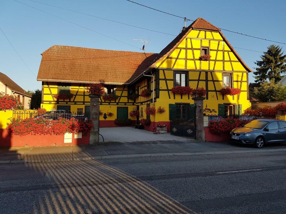 Maison Alsacienne A Andolsheim Apartment Екстериор снимка
